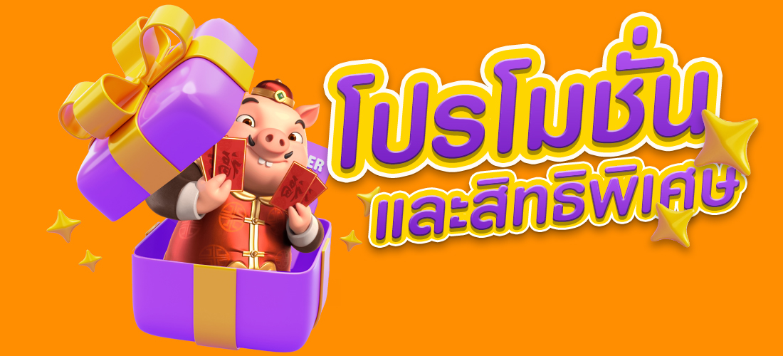 โปรโมชั่น และสิทธิพิเศษ