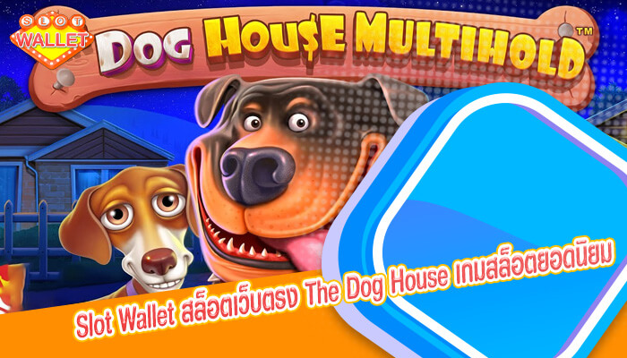 สล็อตเว็บตรง The Dog House เกมสล็อตยอดนิยม